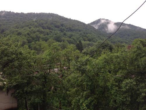 Hostal Gokor B&B