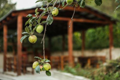 Hostal Guest House Dilijan Orran