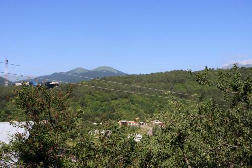 Dilijan Family House