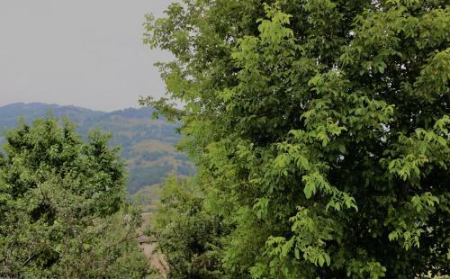 Dilijan Family House
