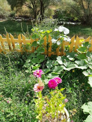 Bed & Breakfast The River House Yeghegis