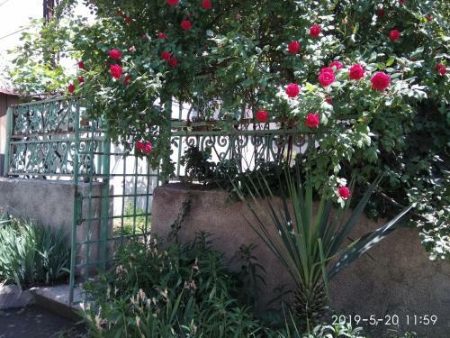 Hostal Family Guest House