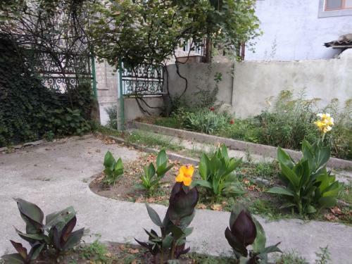 Hostal Family Guest House