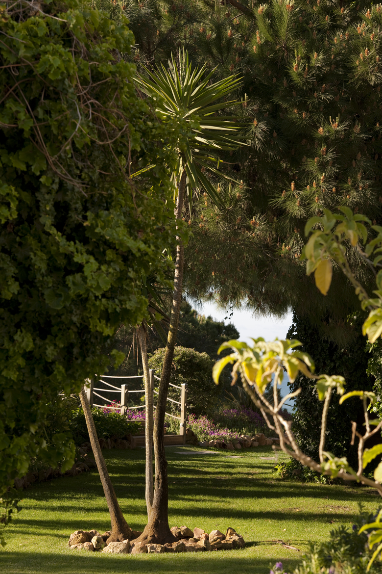 Hotel Porto Bay Falesia