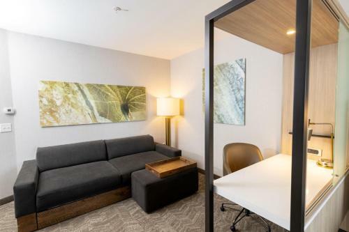 Hotel Springhill Suites By Marriott Austin Cedar Park