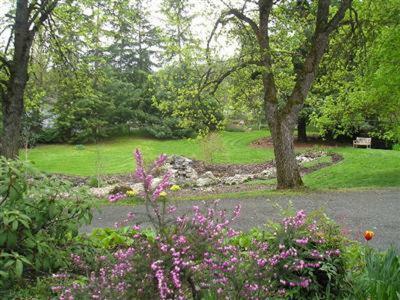 Bed & Breakfast The Willows Inn