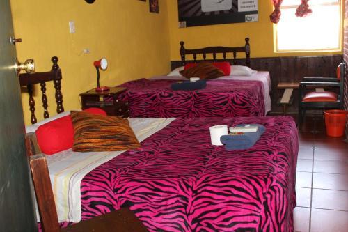 Hotel Casa Del Viajero