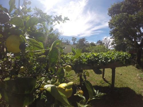 Lodge Jilguero Cabins & Tours