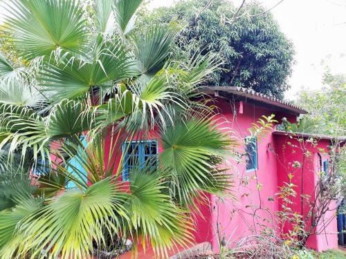 Casa Maya