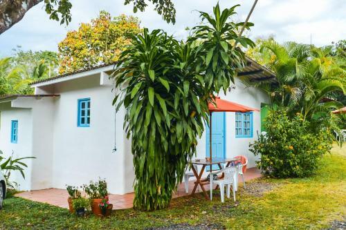 Casa Maya