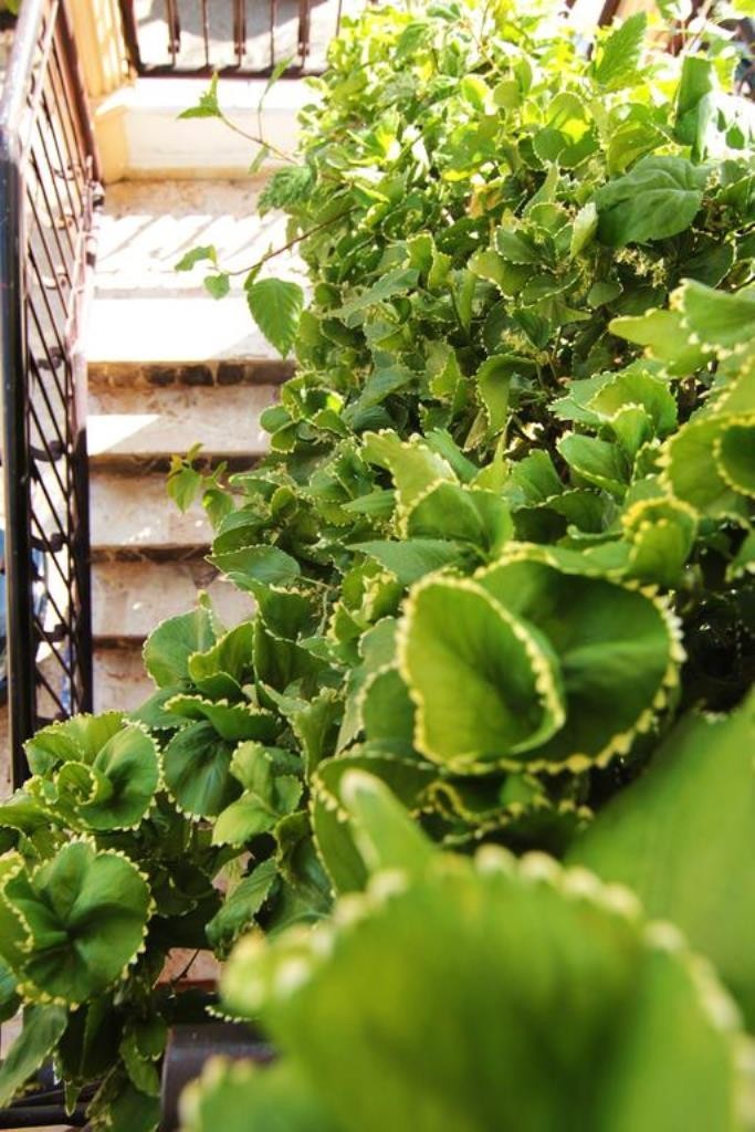 Aparta-hotel Villa Baya