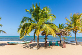 Hotel Hopkins Bay Belize