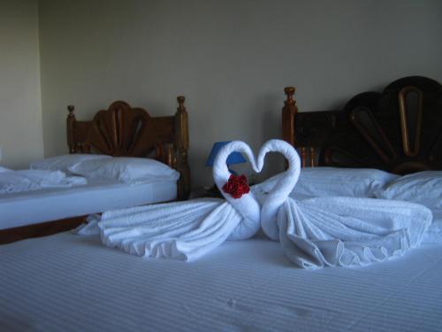 Hotel El Mirador Ecol�gico, Ometepe
