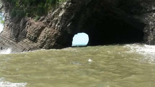 Mar Y Selva Ecolodge