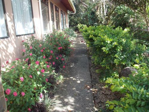Bed & Breakfast Hotel Las Orquideas