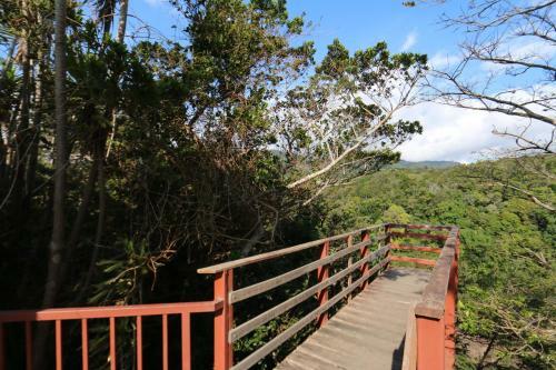 Bed & Breakfast Hotel Las Orquideas