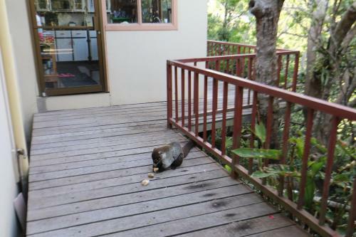 Bed & Breakfast Hotel Las Orquideas