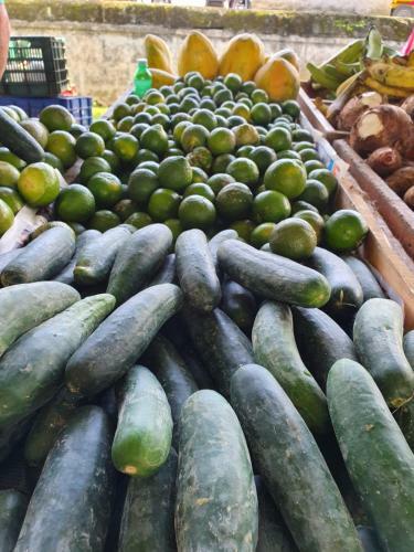 Turrialba Bed & Breakfast