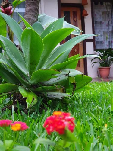 Turrialba Bed & Breakfast