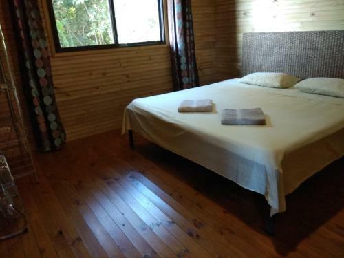 Apartamento Carpediem Montezuma House