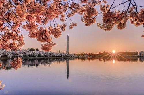 Apartamento Stunning Dc Home W/ Rooftop Pool - Ideal Location!
