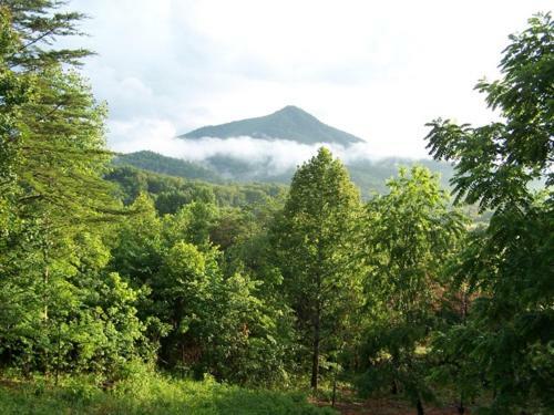 Misty Cove - Sevierville Cabin