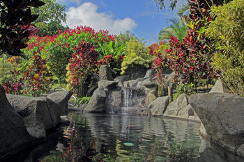Hotel Arenal Kioro Suites & Spa