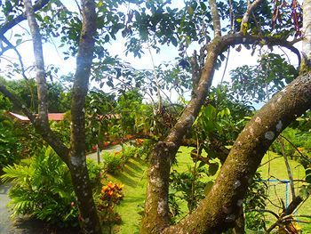 Hotel Heliconias
