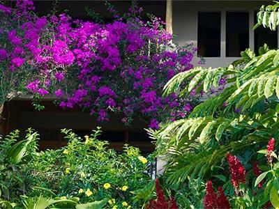 Hotel Lost Iguana Resort And Spa