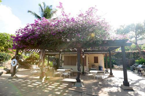 Apartamento Maui Kamaole #j-219 Condo