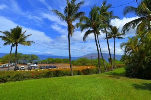 Apartamento Maui Kamaole #g-107 Condo