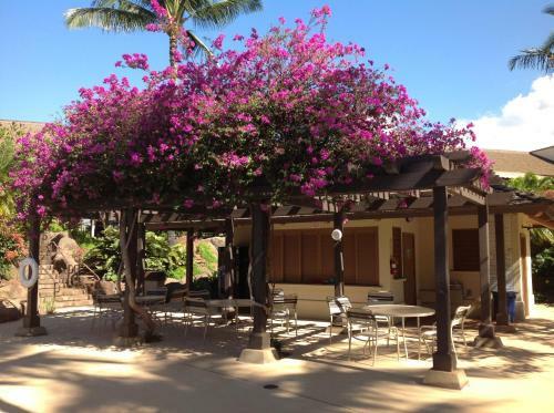 Apartamento Maui Kamaole #k-108 Condo