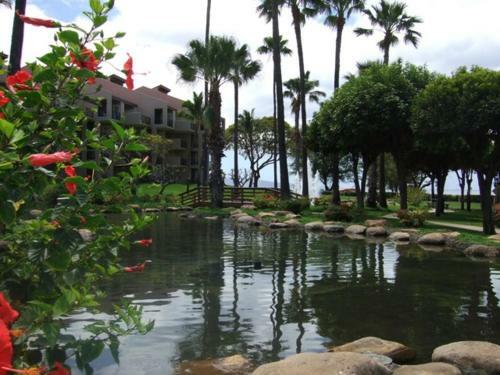 Apartamento Kamaole Sands #1-406 Condo