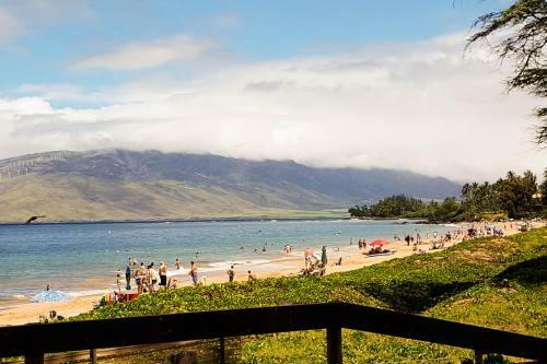Maui Banyan Q409a & Q409