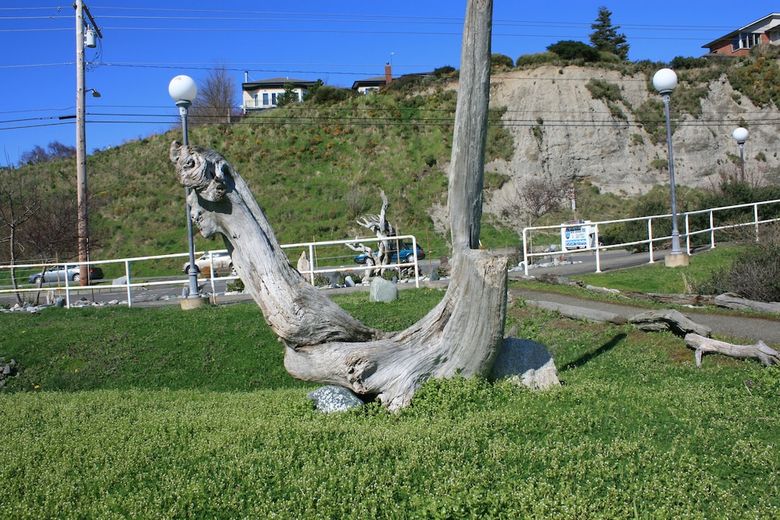 Hotel Tides Inn