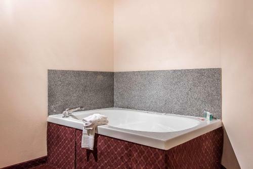 Hotel Comfort Suites New Iberia
