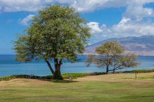 Apartamento Maui Parkshore #304 Condo