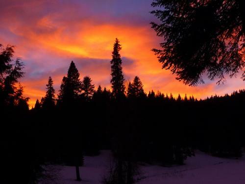Yosemite Lodging At Big Creek Inn B&B