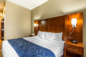 Hotel Comfort Suites Mattoon Illinois