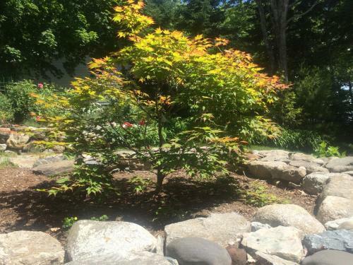 Acadia Ocean Front Garden Cottages