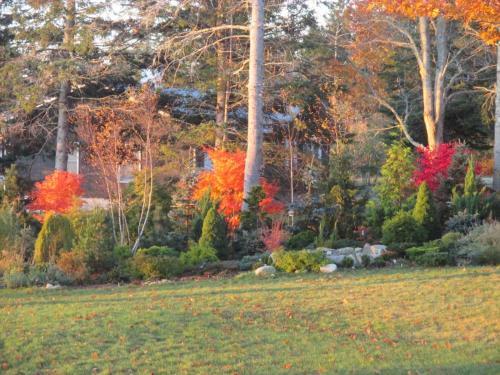 Acadia Ocean Front Garden Cottages