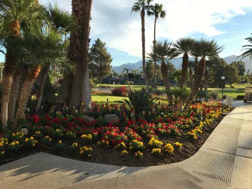 Villa Desert Princess Country Club