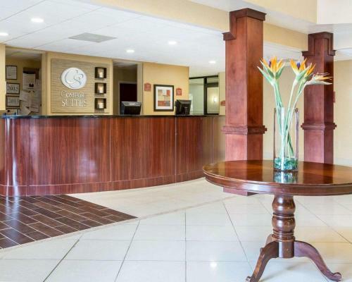 Hotel Comfort Suites Atlanta Airport