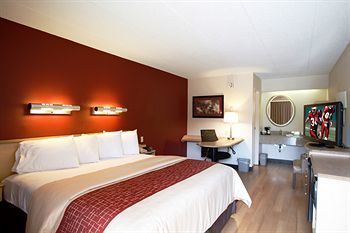 Motel Red Roof Inn Tampa Fairgrounds