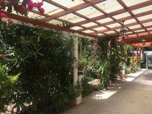 Hostal Aconcagua