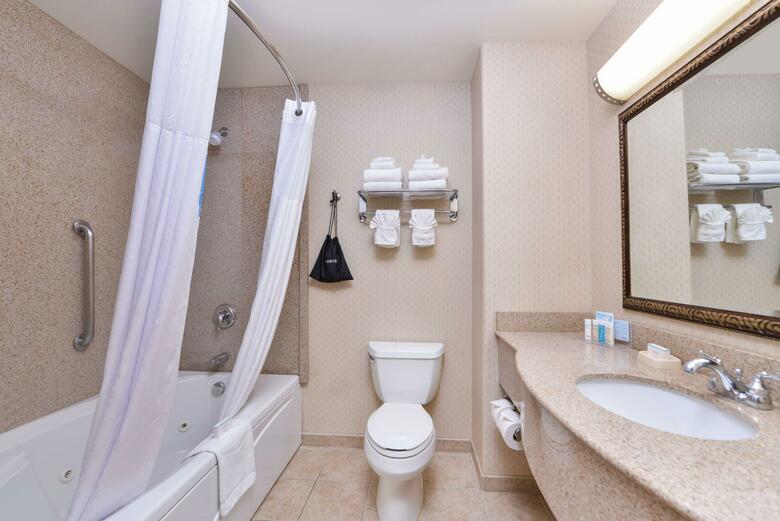Hotel Hampton Inn & Suites Boise-meridian
