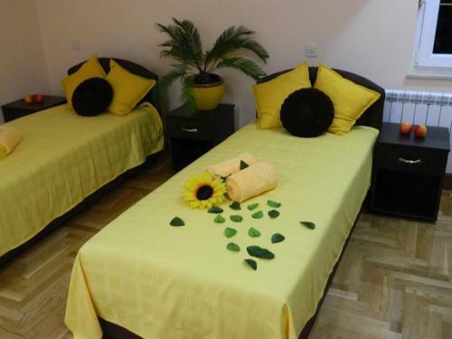 Hostal Akva Gold Guest House