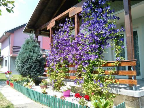 Apartamento Ruska Kuca