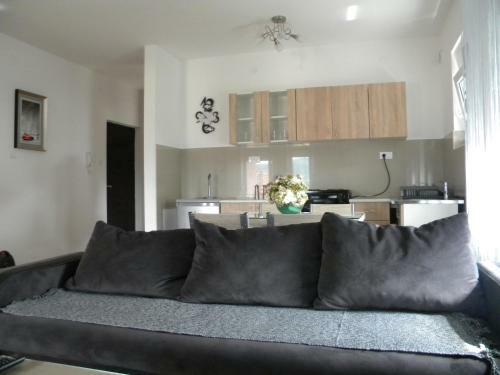 Apartment Srebrni Oblak