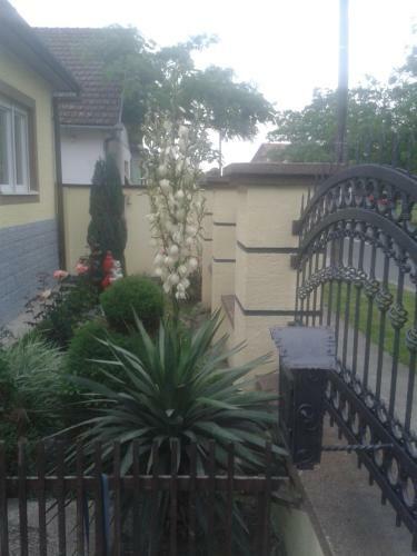 Apartamentos Guesthouse Dizija